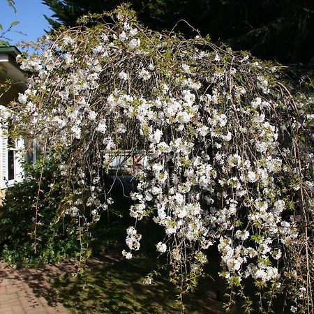 Carawatha Gardens Βίλα Bright Εξωτερικό φωτογραφία