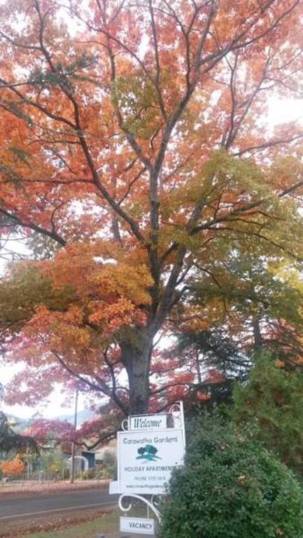 Carawatha Gardens Βίλα Bright Δωμάτιο φωτογραφία
