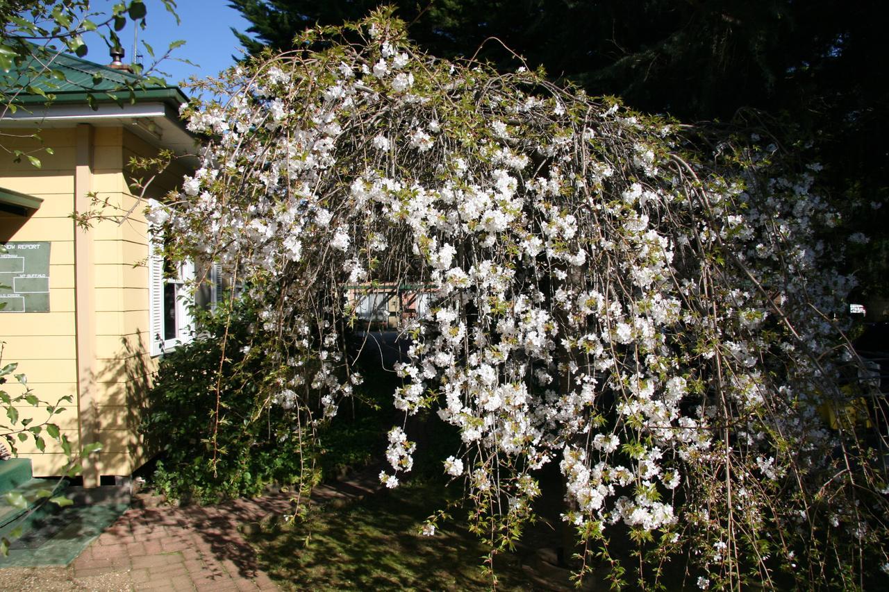 Carawatha Gardens Βίλα Bright Εξωτερικό φωτογραφία